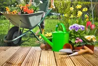 How to create a water-friendly garden this summer!
