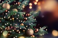 Plant of the Week: Christmas trees