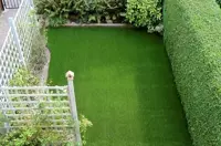 Artificial grasses to grow