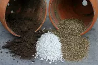 Vermiculite or perlite: which to choose?