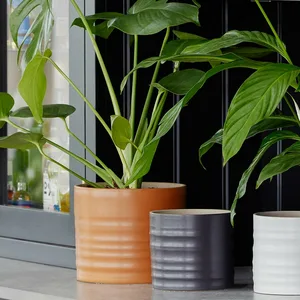 Amber 'Hadleigh' Ivyline Plant Pot 15cm - image 1