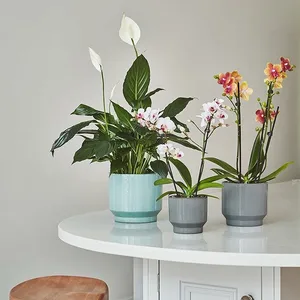 Aqua 'Mia' Ivyline Plant Pot 15.5cm - image 1