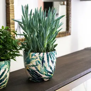 Botanical Fern 'Monza' Ivyline Plant pot - image 1
