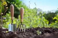 Composts & Growing Media