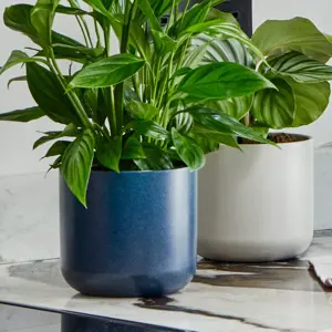 French Navy 'Lisbon' Ivyline Plant Pot 15cm - image 1