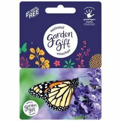 Gift Card Butterfly