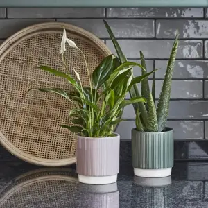 Ivyline 'Athens' Pink Ribbed Plant Pot - image 1