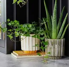 Ivyline 'Lugano' Scalloped Green Reactive Plant Pot - image 1