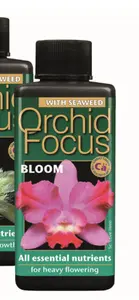 Orchid Focus BLOOM 300ml - image 1