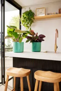 Pacific Green 'Ocean' Elho Plant Pot 14cm - image 1