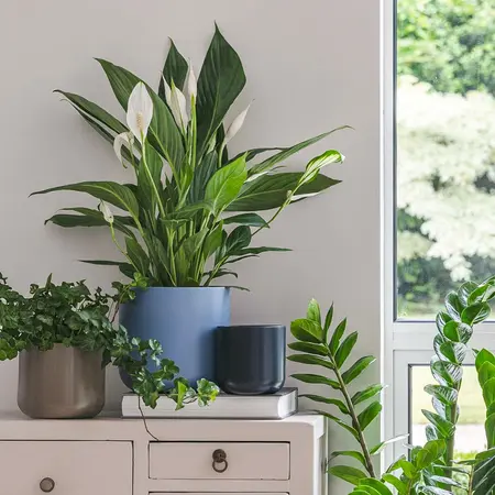 Powder Blue 'Lisbon' Ivyline Plant Pot 18.5cm - image 1