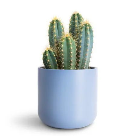 Powder Blue 'Lisbon' Ivyline Plant Pot 18.5cm - image 2