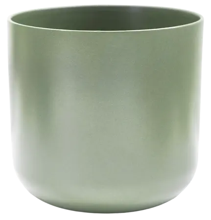 Sage 'Lisbon' Ivyline Pot 15cm - image 3