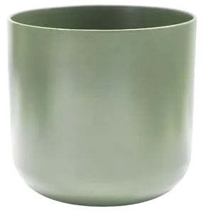 Sage 'Lisbon' Ivyline Pot 15cm - image 3