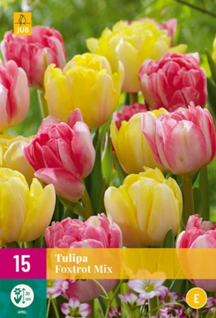 Tulip Foxtrot Mix