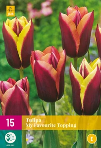 Tulip My Favourite Topping