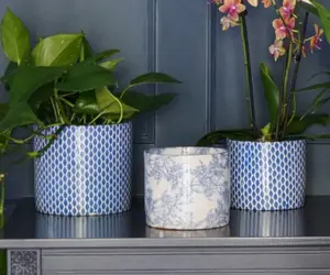 Vintage Foliage 'Lazzaro' Ivyline Plant Pot 16cm - image 1
